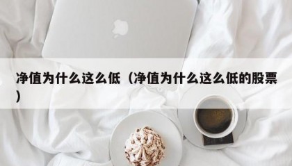 净值为什么这么低（净值为什么这么低的股票）