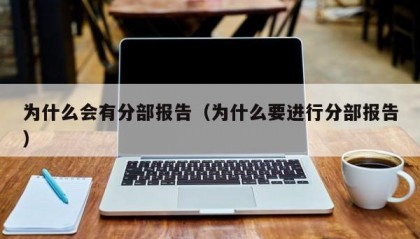 为什么会有分部报告（为什么要进行分部报告）
