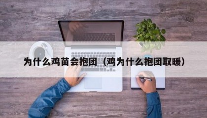 为什么鸡苗会抱团（鸡为什么抱团取暖）
