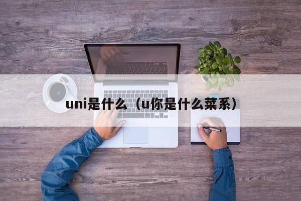 uni是什么(u你是什么菜系)