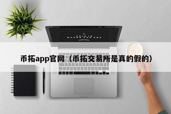 币拓app官网(币拓交易所是真的假的)