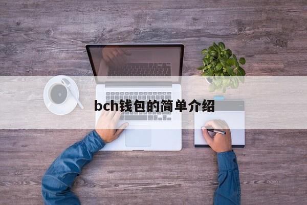 bch钱包的简单介绍