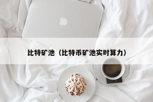 比特矿池(比特币矿池实时算力)