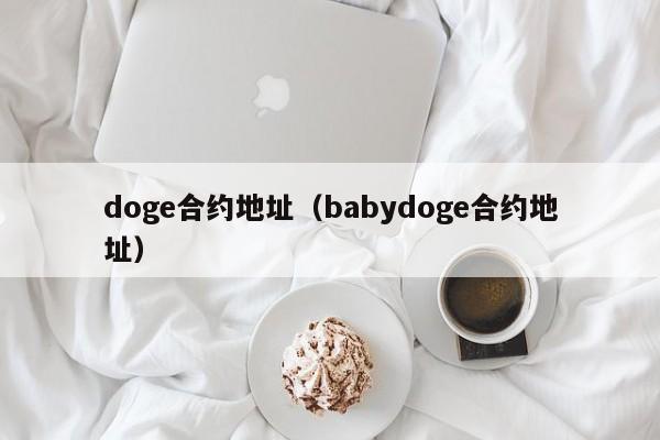 doge合约地址(babydoge合约地址)