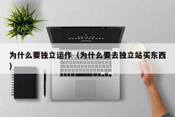 为什么要独立运作(为什么要去独立站买东西)
