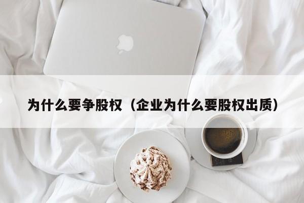 为什么要争股权(企业为什么要股权出质)