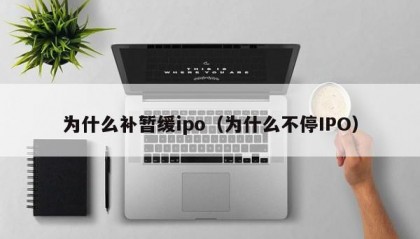 为什么补暂缓ipo（为什么不停IPO）