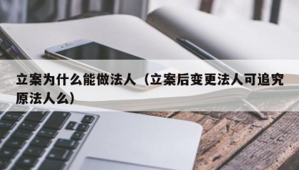 立案为什么能做法人（立案后变更法人可追究原法人么）