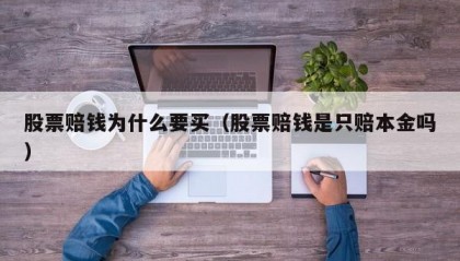 股票赔钱为什么要买（股票赔钱是只赔本金吗）