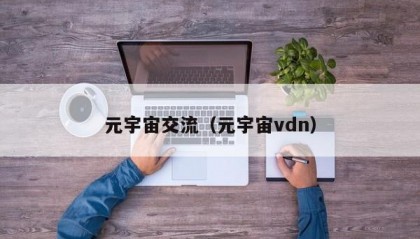 元宇宙交流（元宇宙vdn）