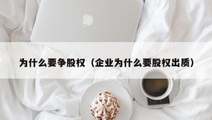 为什么要争股权（企业为什么要股权出质）