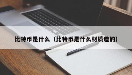 比特币是什么（比特币是什么材质造的）